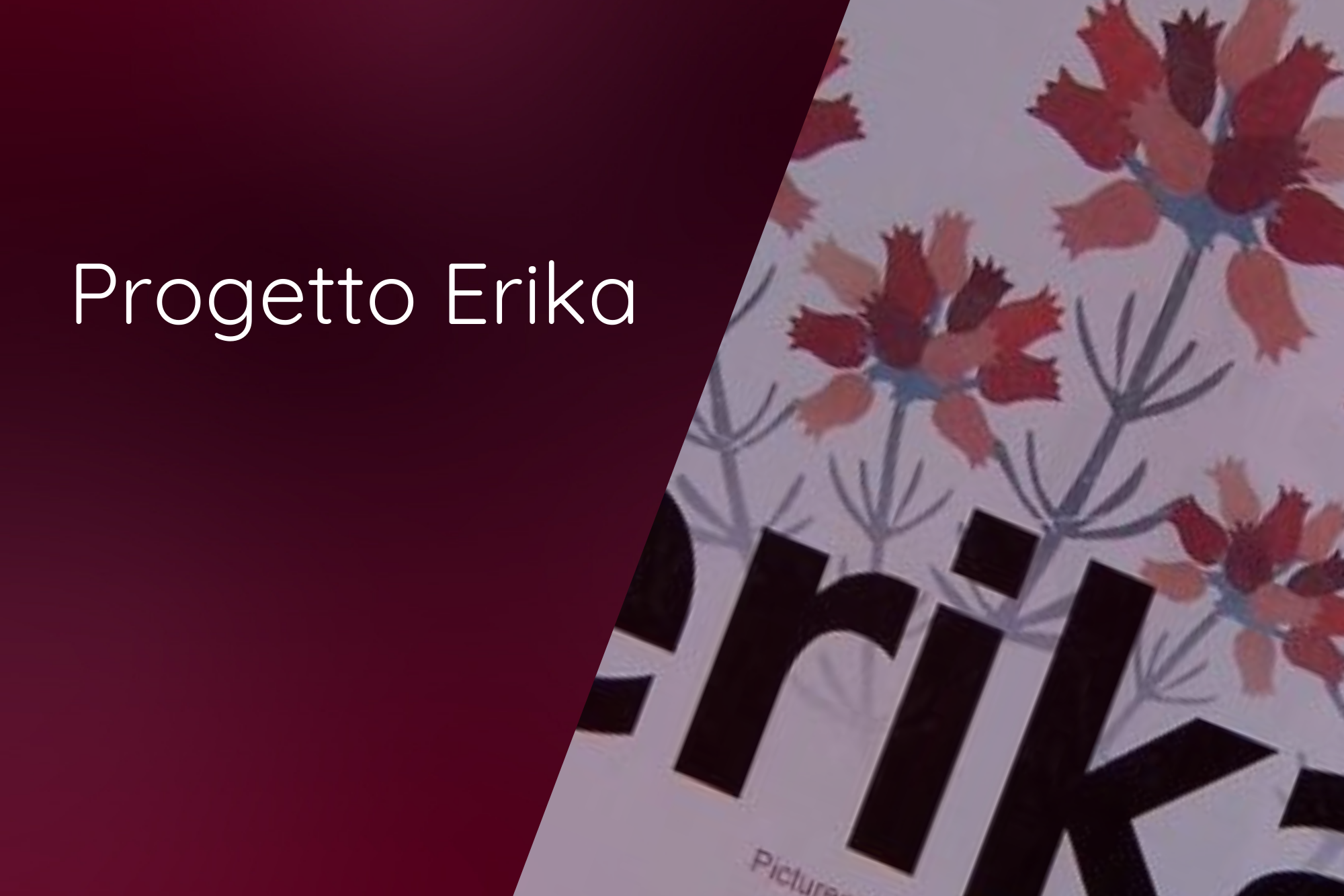 Progetto Erika